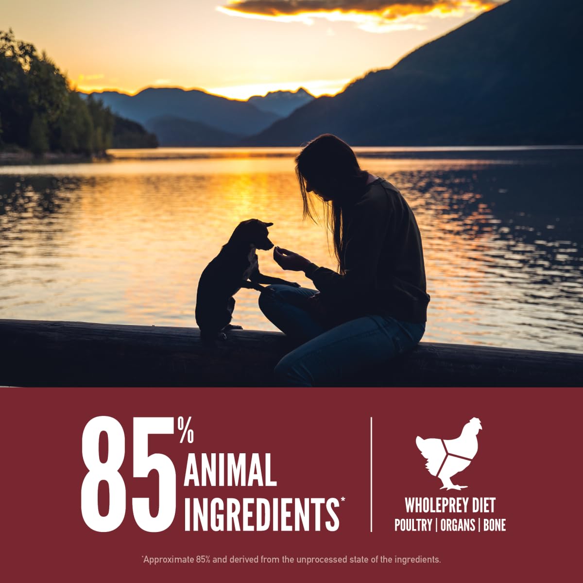 Grain Free Dry Dog Food 4lb Bag U7308