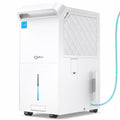 6000 Sq Ft ENERGY STAR Dehumidifier with Pump R876