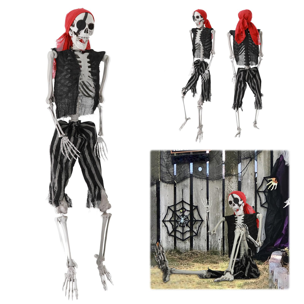 Life Size Skeleton with Joints Q658983