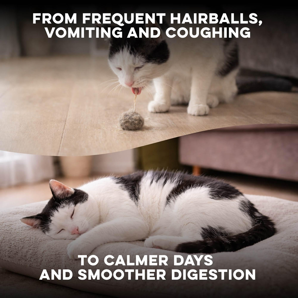 Hairball Treatment for Cats D9134