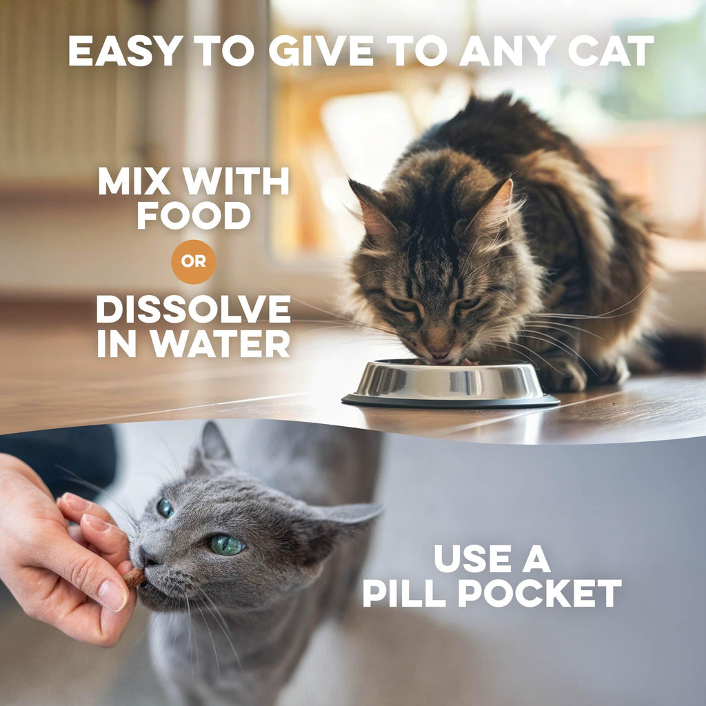Hairball Treatment for Cats D9134