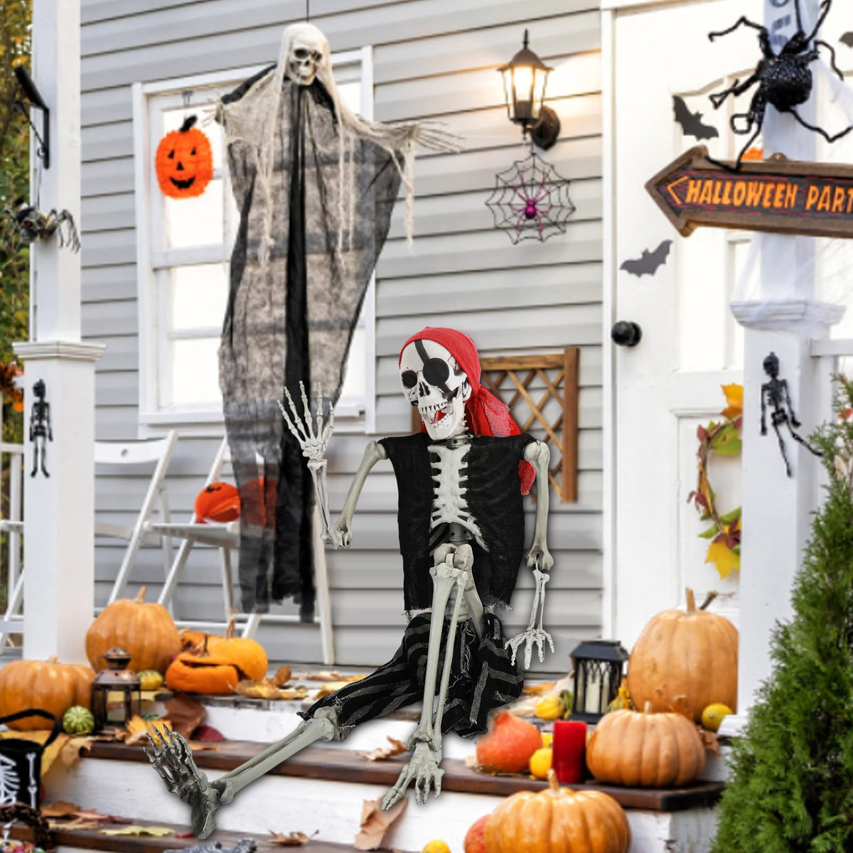 Life Size Skeleton with Joints Q658983