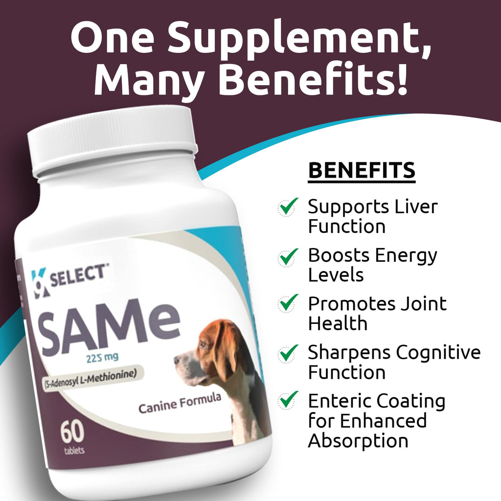 Dog Liver Supplement 60 Tablet 225mg Q923661