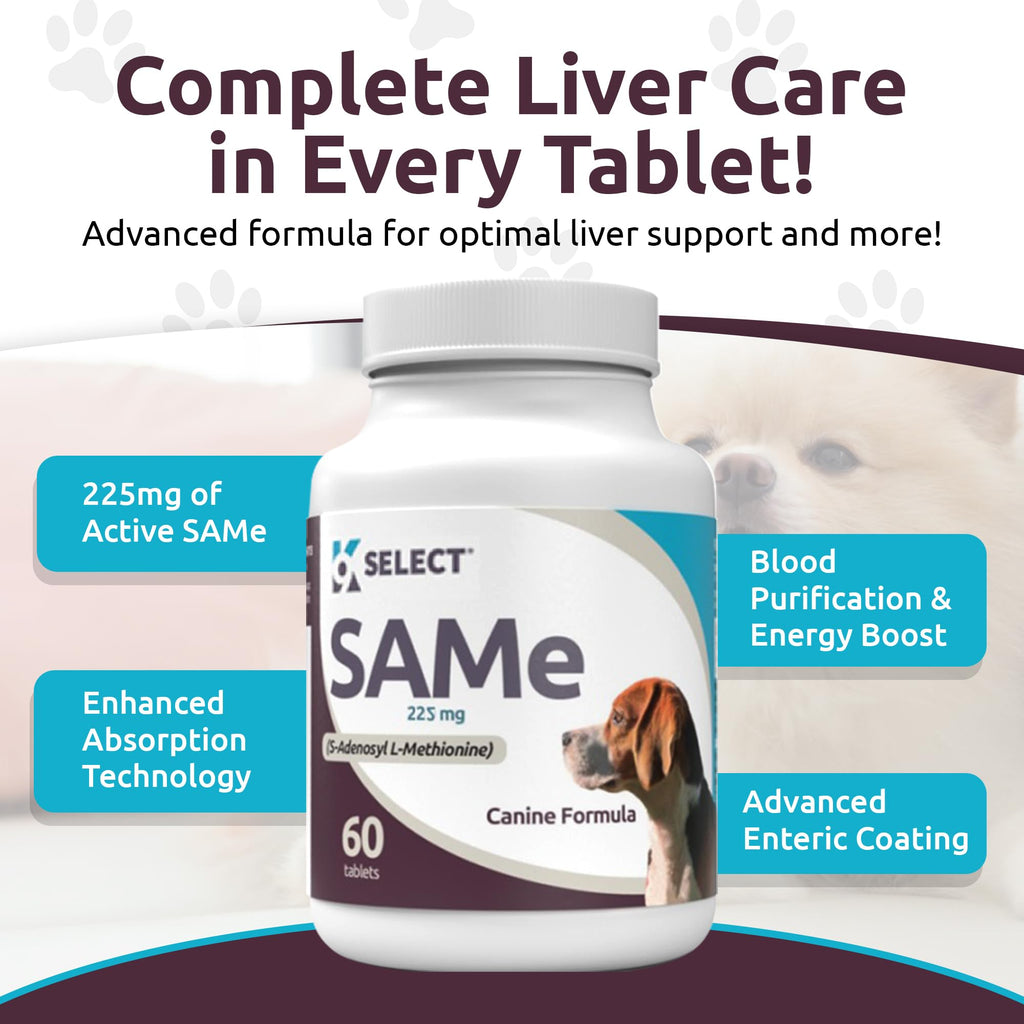 Dog Liver Supplement 60 Tablet 225mg Q923661