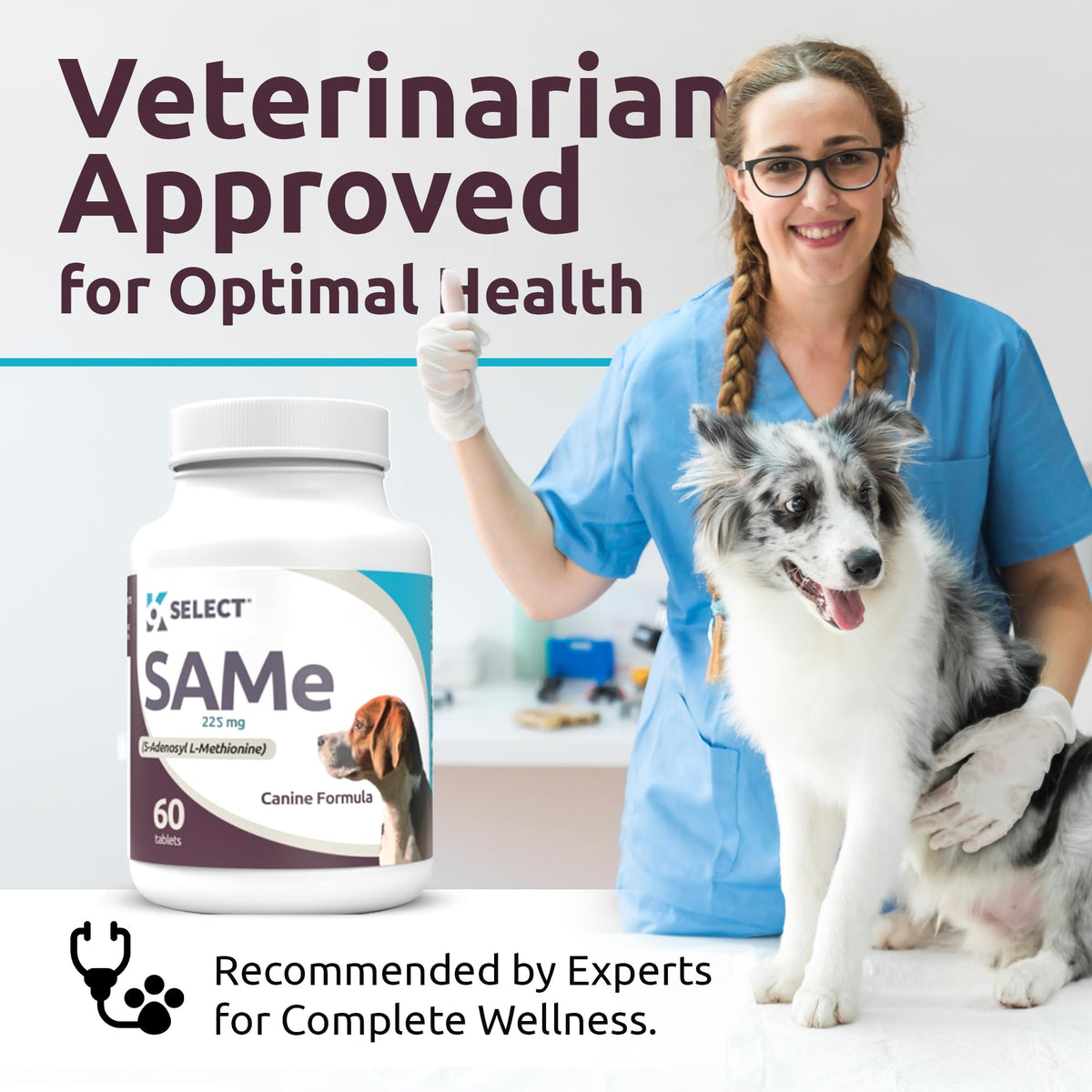 Dog Liver Supplement 60 Tablet 225mg Q923661