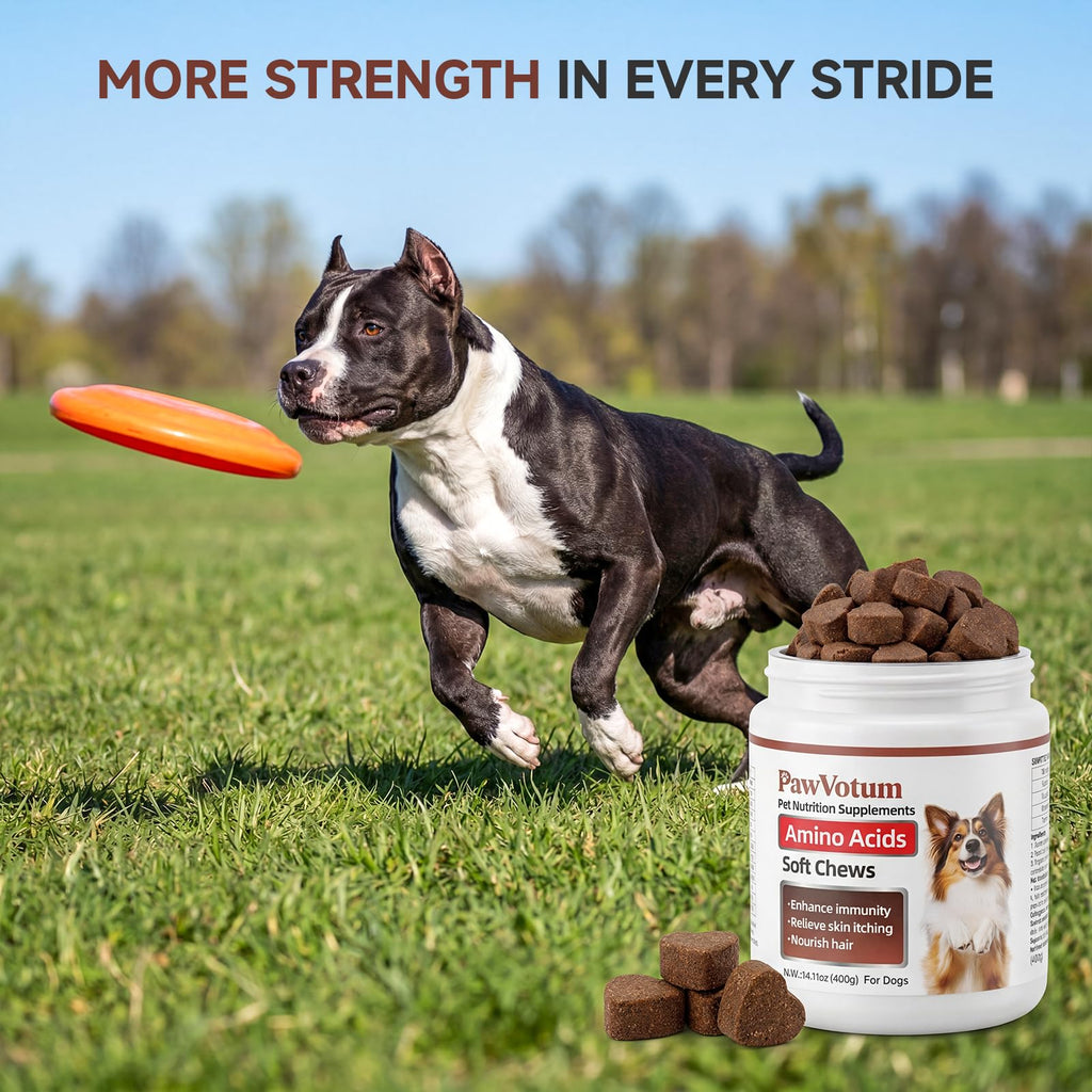 200 Chews Amino Acids for Dogs Y7365