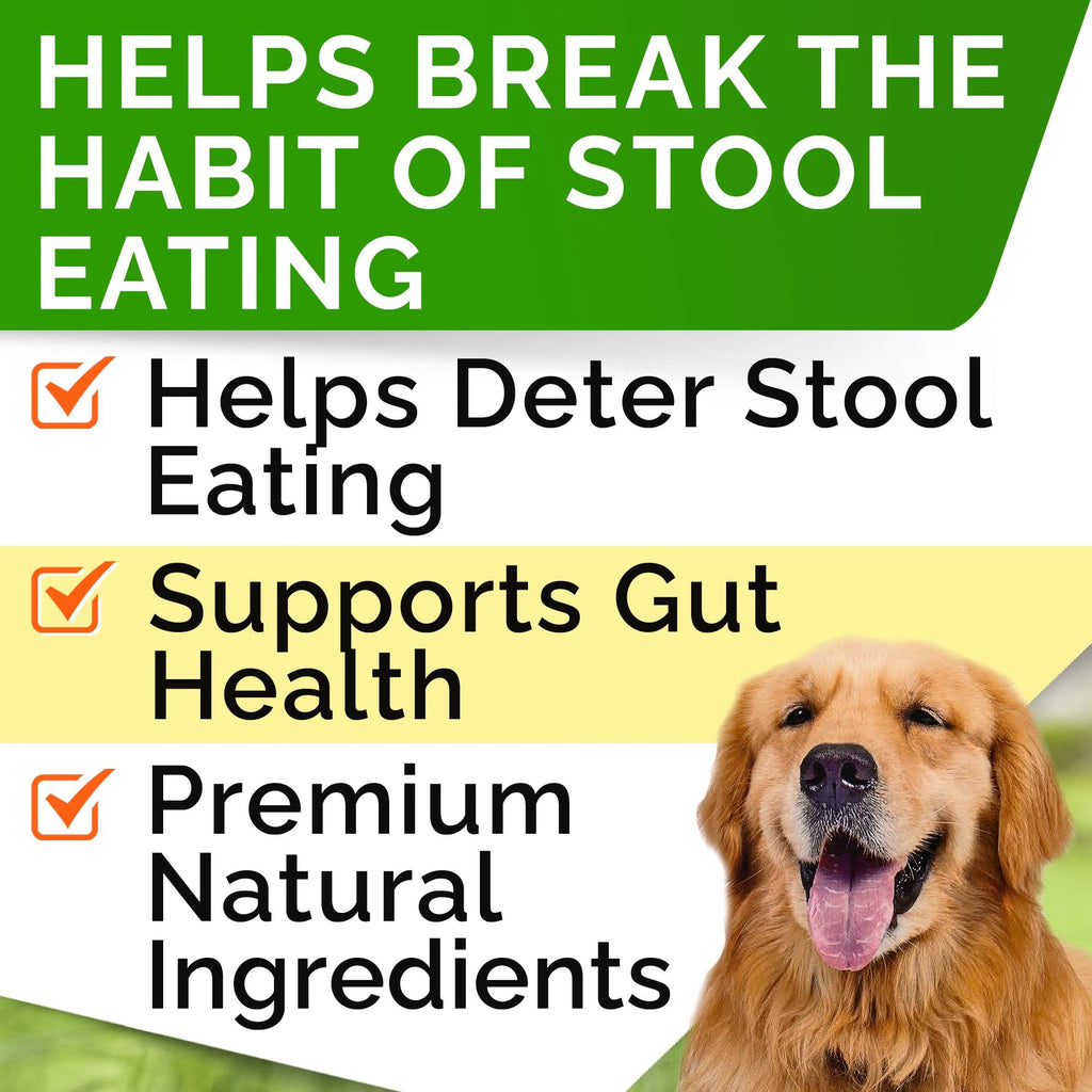 No Poo Chews for Dogs B3823