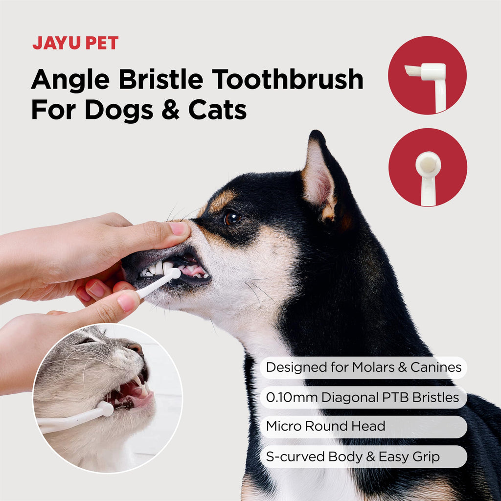 Micro Round Head Dog and Cat Toothbrush P9276