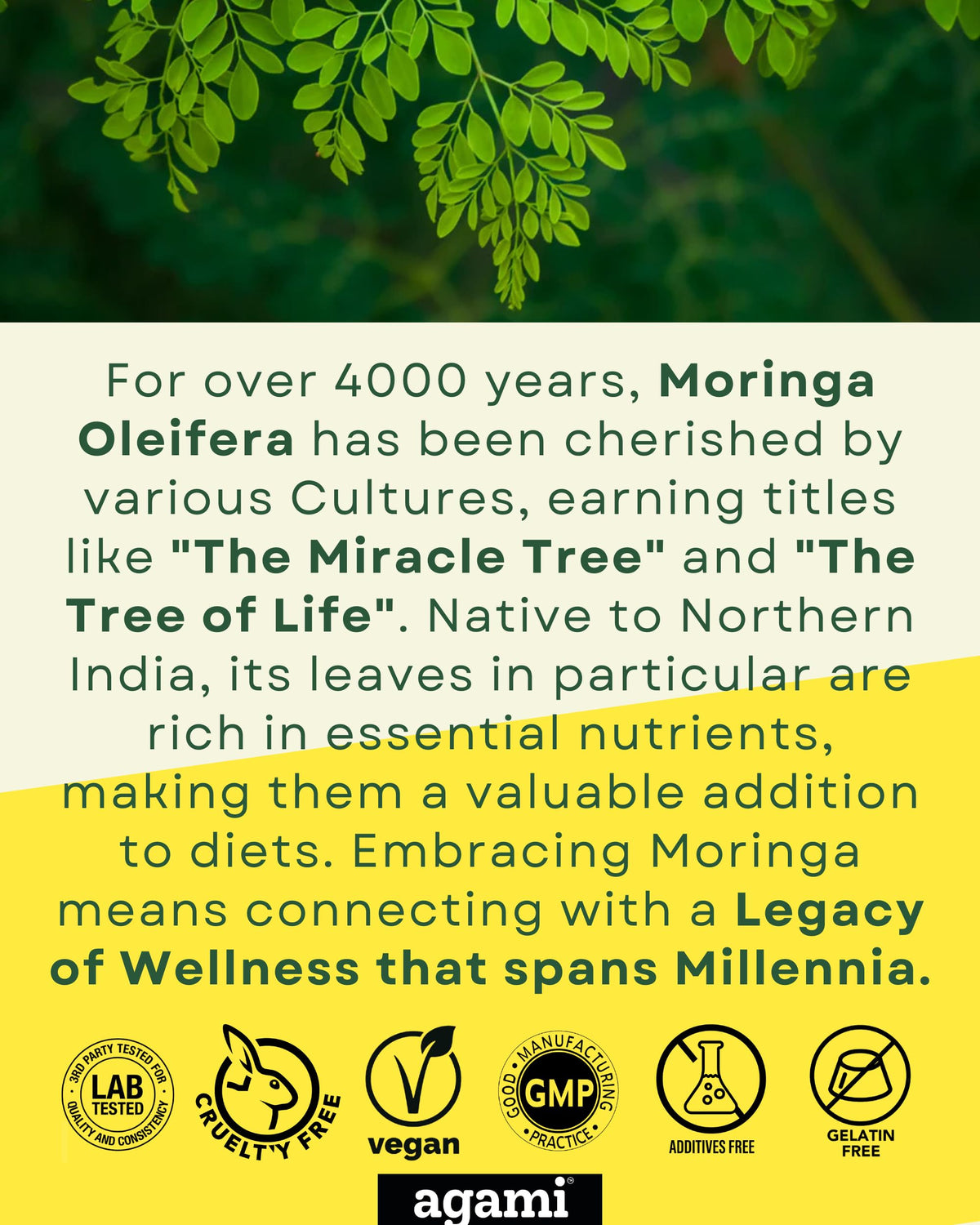 Moringa Capsules 400mg 20:1 Extract 120 Capsules I1157
