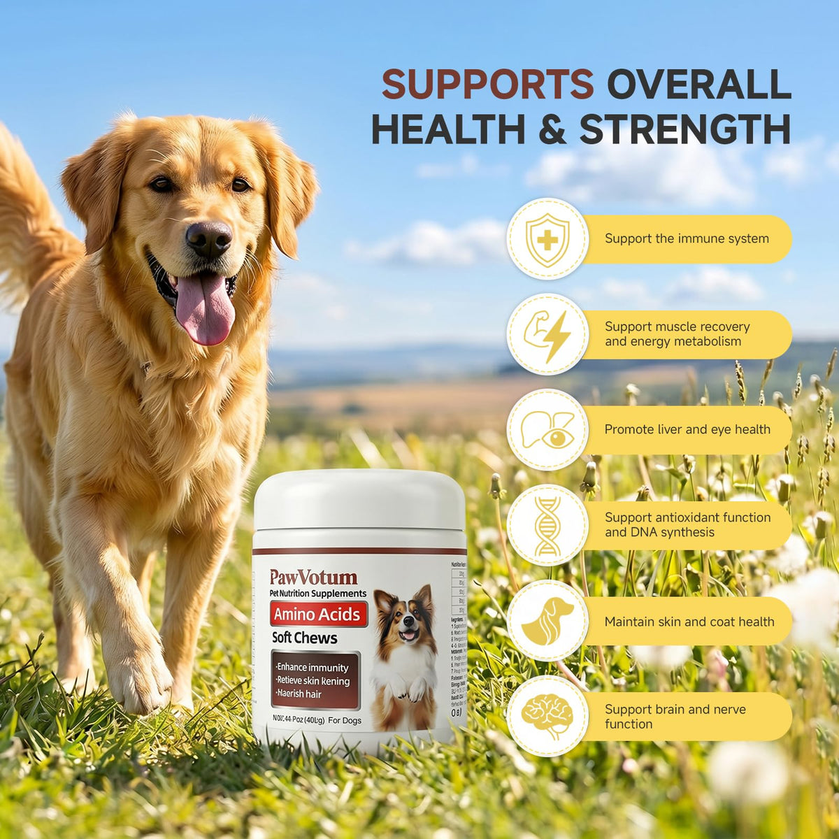 200 Chews Amino Acids for Dogs Y7365