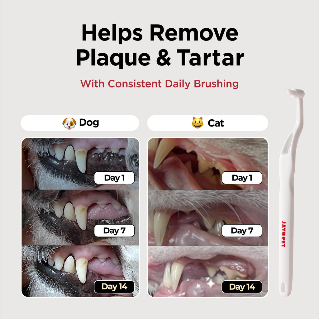 Micro Round Head Dog and Cat Toothbrush P9276