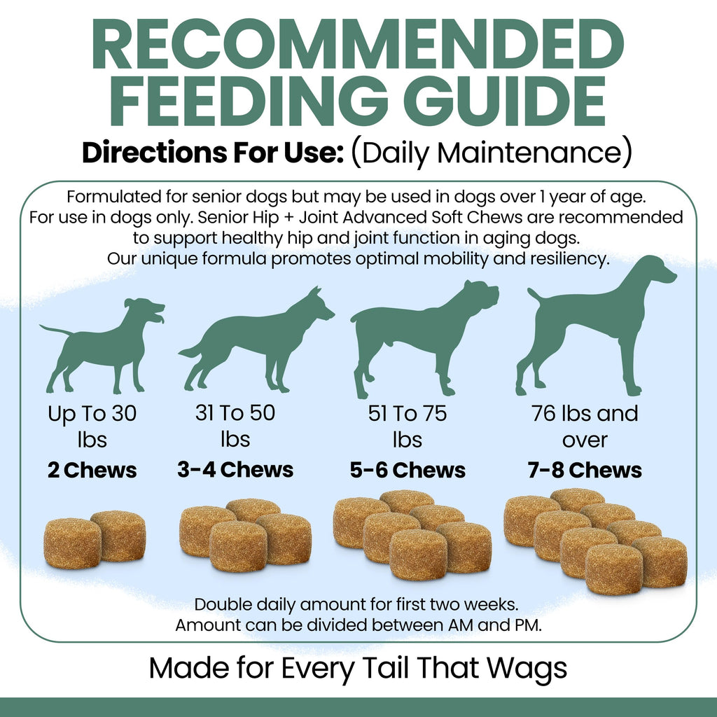 Glucosamine Chondroitin MSM Soft Chews for Dogs E970