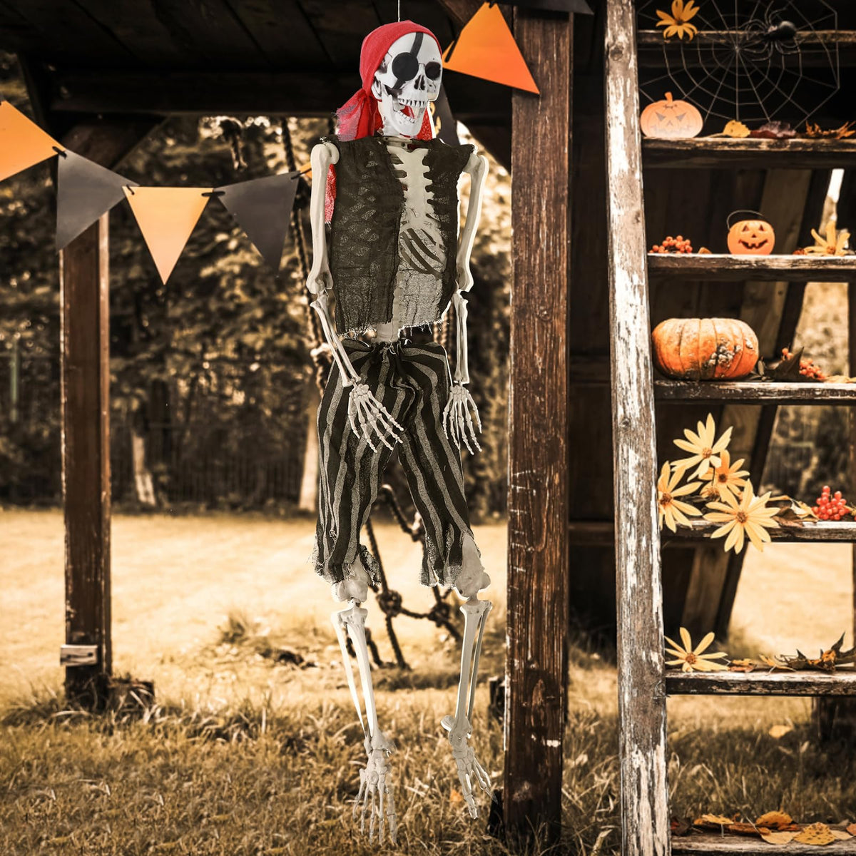 Life Size Skeleton with Joints Q658983