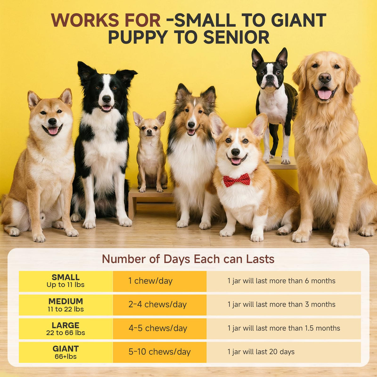 200 Chews Amino Acids for Dogs Y7365