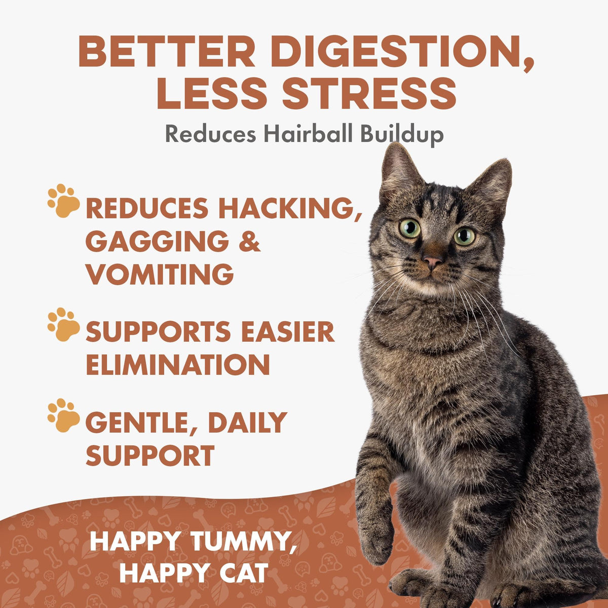 Hairball Treatment for Cats D9134
