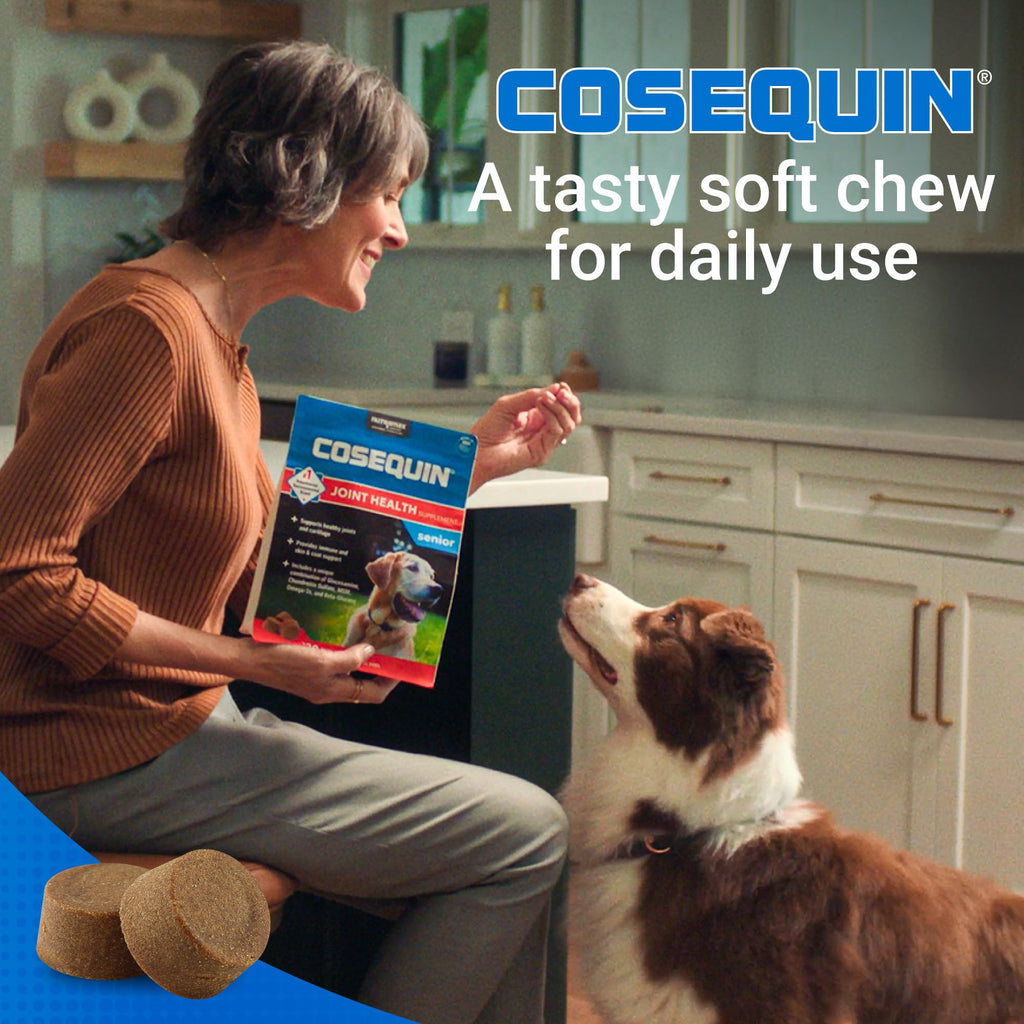 Soft Chews Dog Joint Supplement 60ct X70655