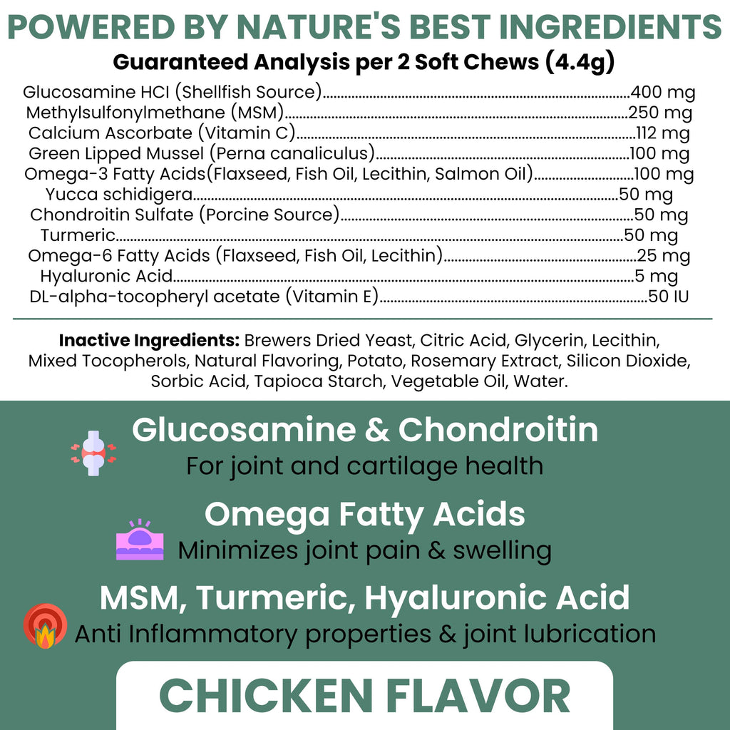 Glucosamine Chondroitin MSM Soft Chews for Dogs E970