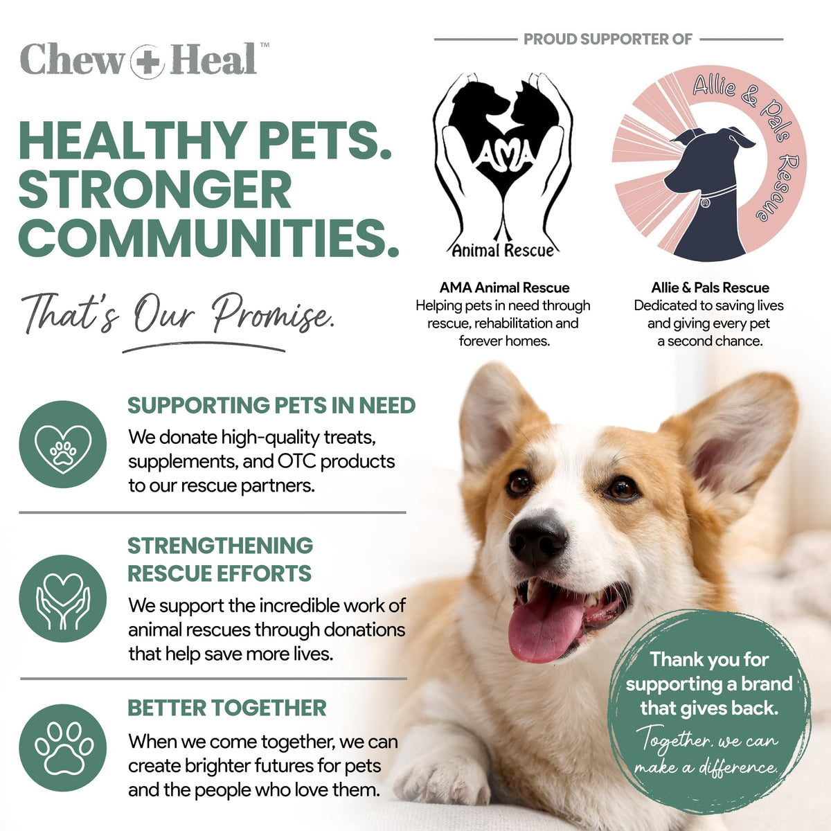 Glucosamine Chondroitin MSM Soft Chews for Dogs E970