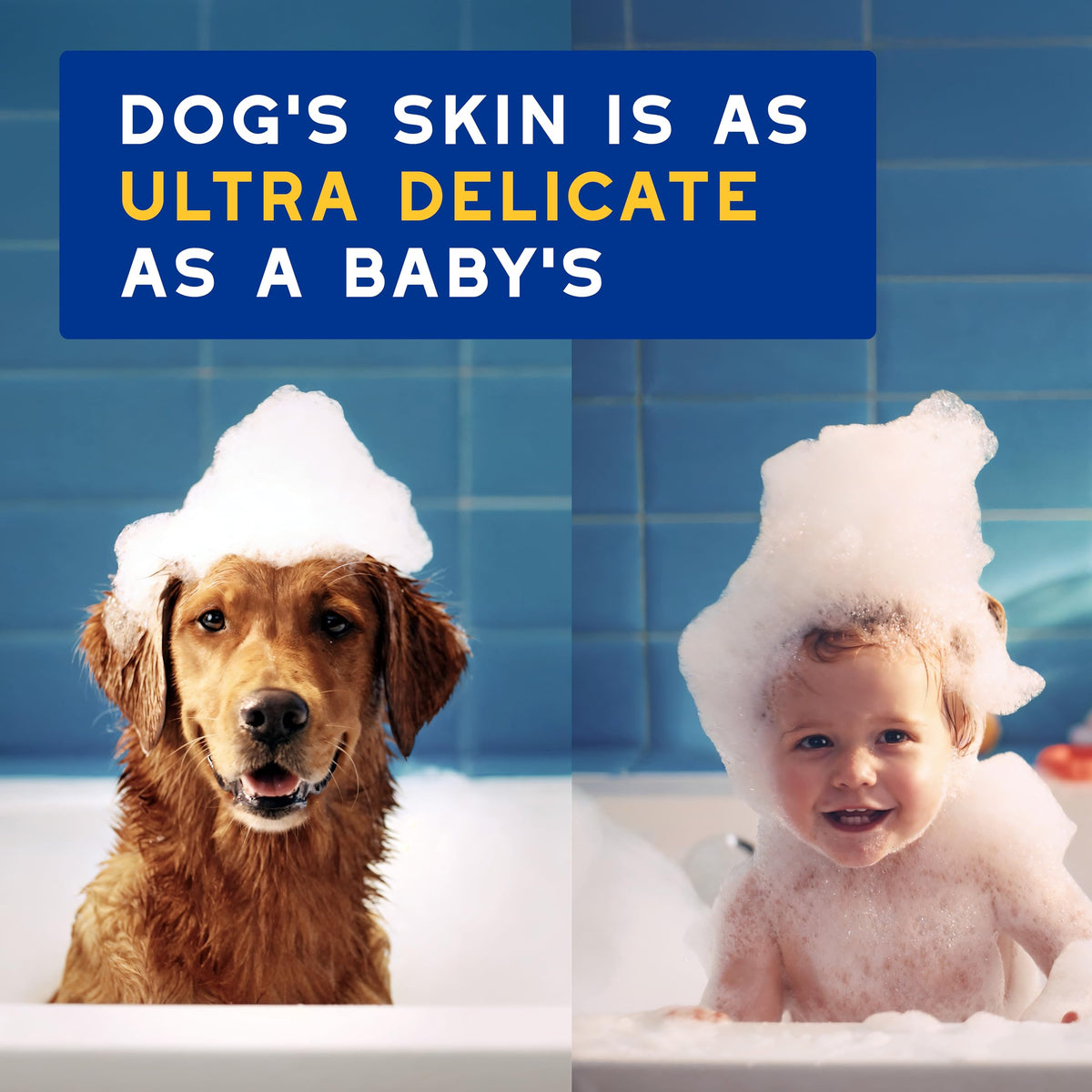 Oatmeal Dog Conditioner, 16 fl oz N6477