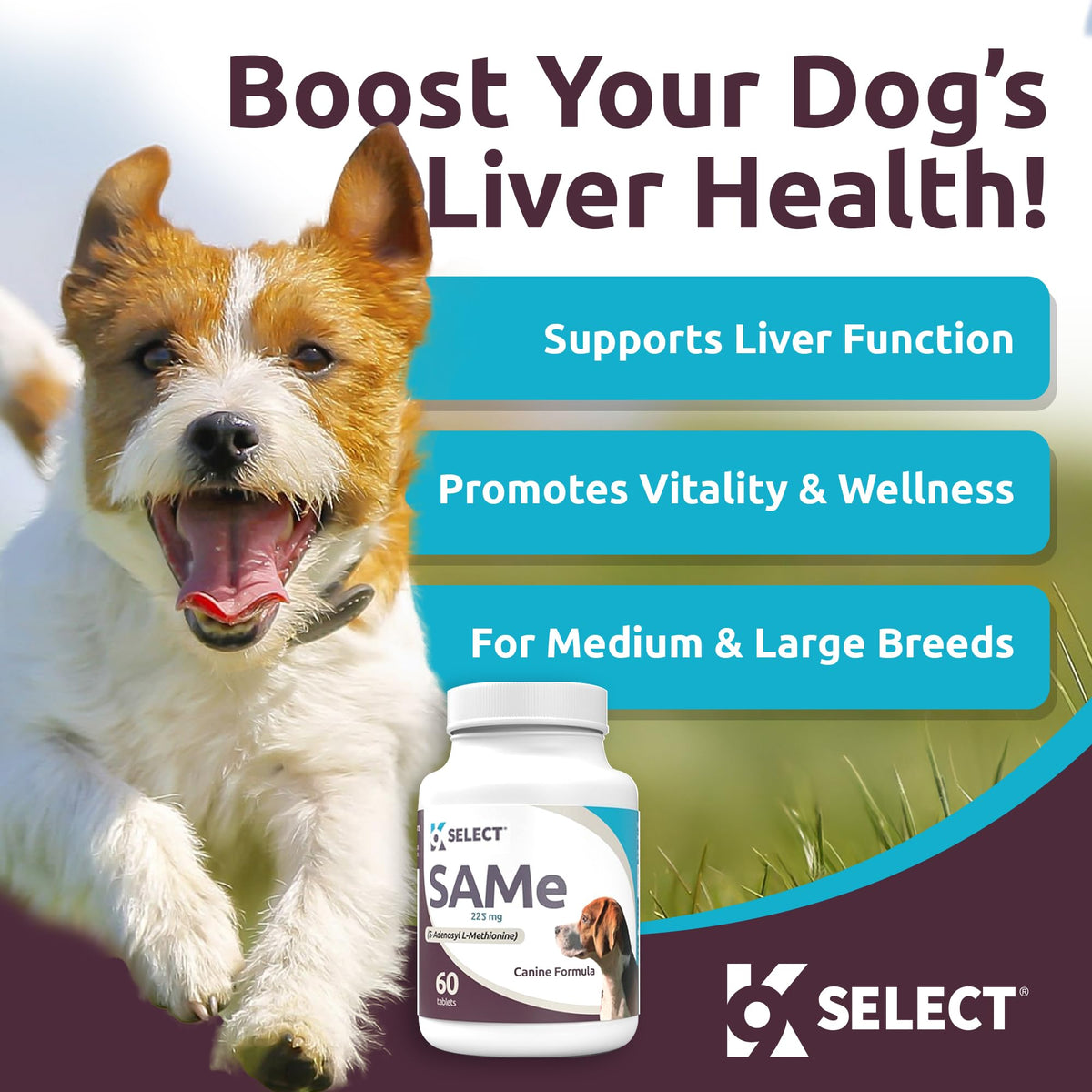 Dog Liver Supplement 60 Tablet 225mg Q923661