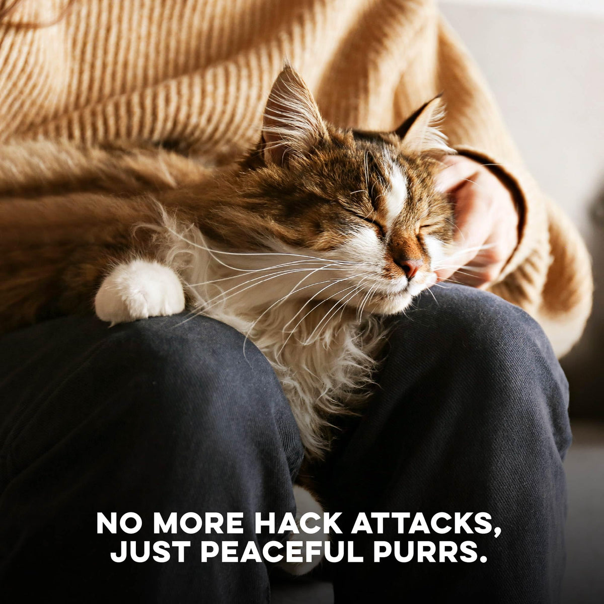 Hairball Treatment for Cats D9134