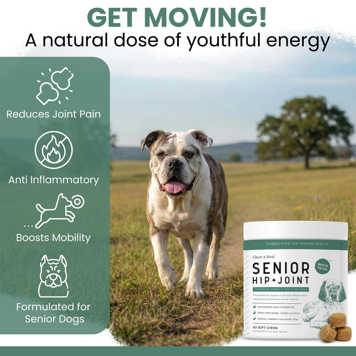 Glucosamine Chondroitin MSM Soft Chews for Dogs E970