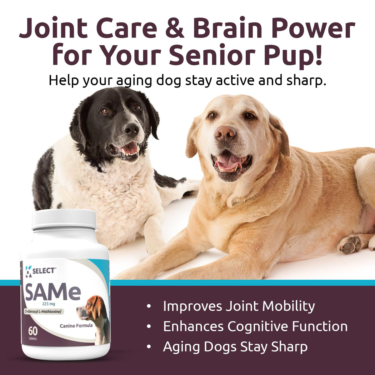 Dog Liver Supplement 60 Tablet 225mg Q923661
