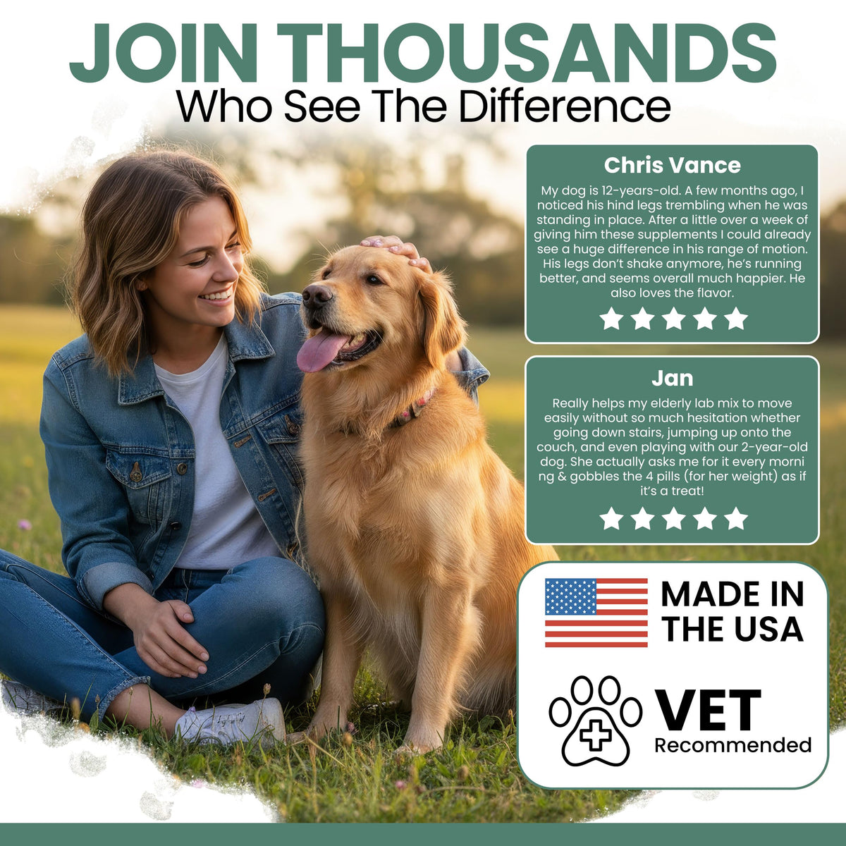 Glucosamine Chondroitin MSM Soft Chews for Dogs E970
