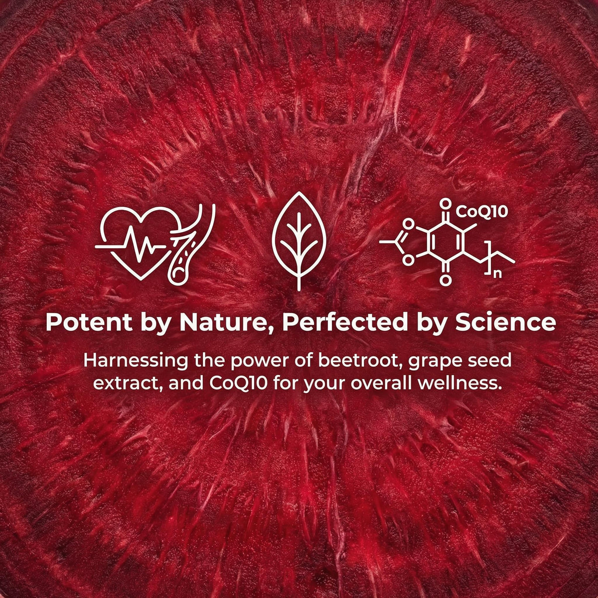 Beet Chews with Grape Seed Extract & CoQ10 - 60 Chews J716062